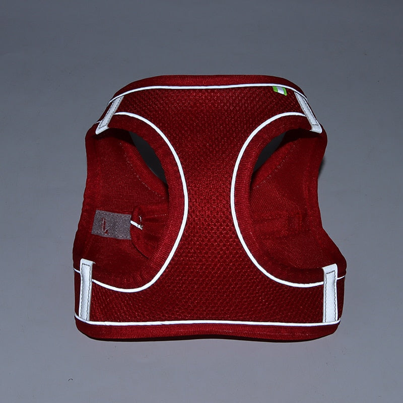 No-Pull Dog Harness & Leash Set