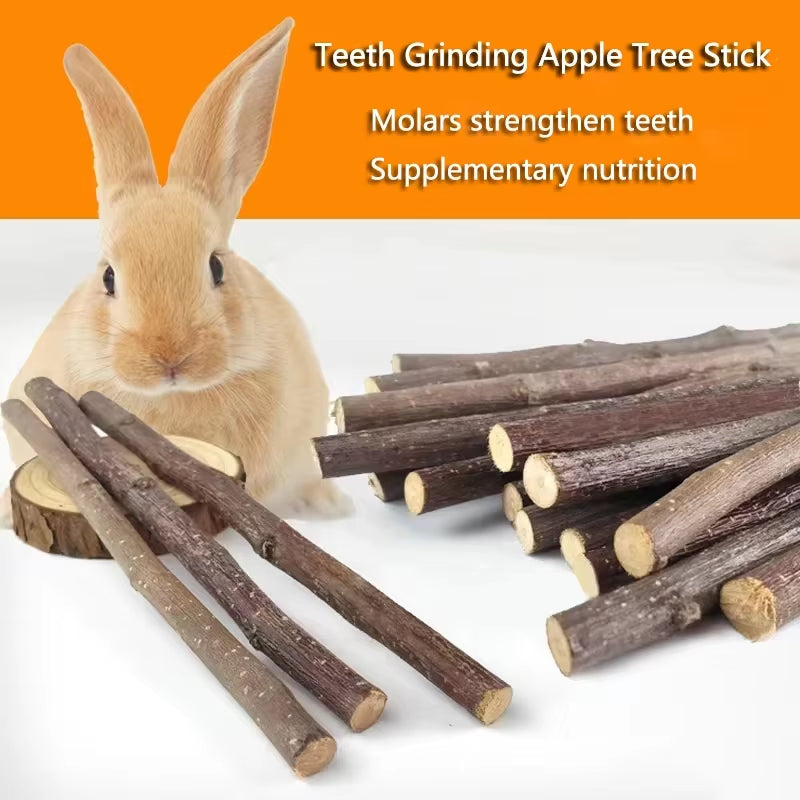 Professional Hamster Rabbit Teeth Grinding Apple Tree Stick Minerals Molar Stone Toys for Chinchilla Hamster Pettoys Accessories