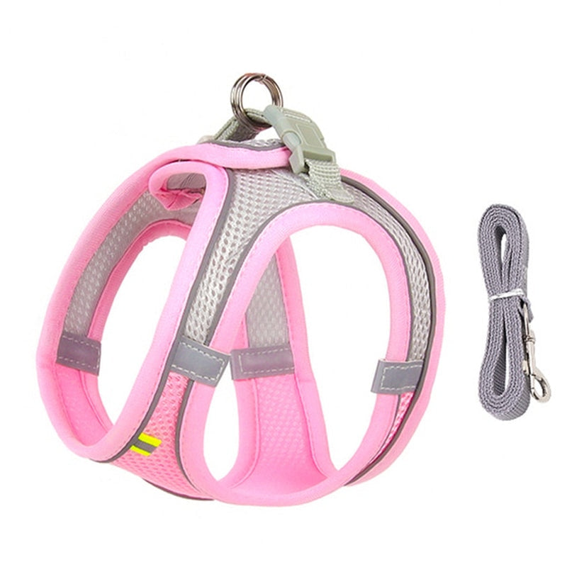 No-Pull Dog Harness & Leash Set