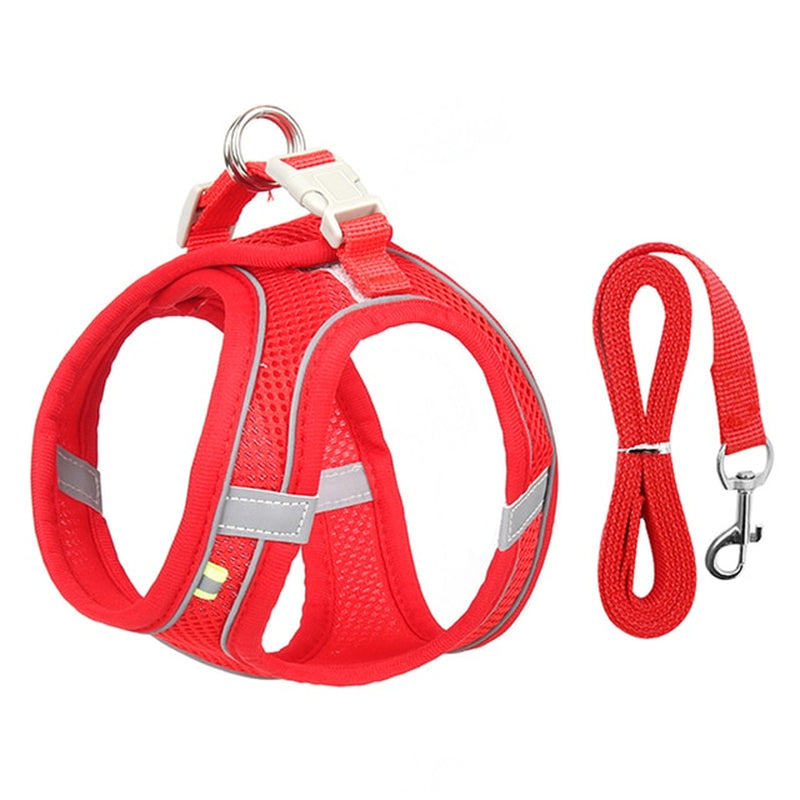 No-Pull Dog Harness & Leash Set