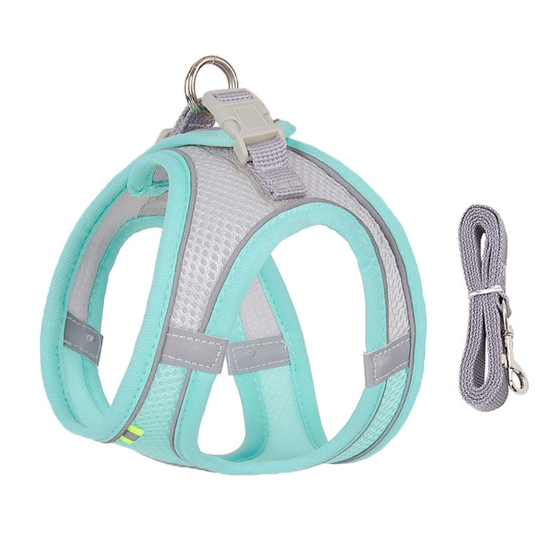 No-Pull Dog Harness & Leash Set