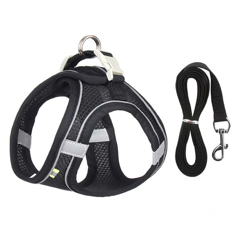 No-Pull Dog Harness & Leash Set