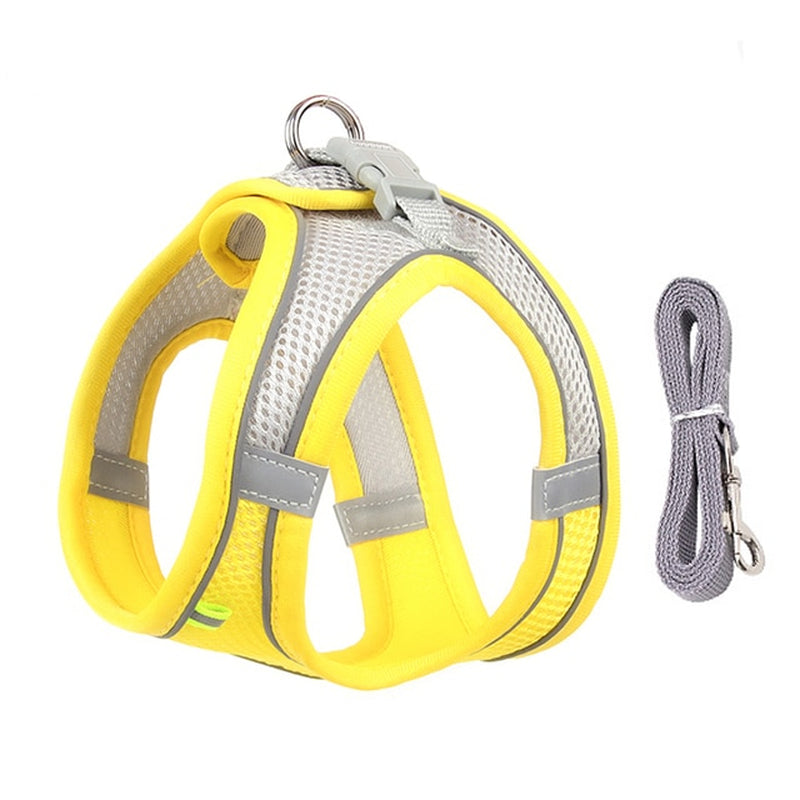 No-Pull Dog Harness & Leash Set
