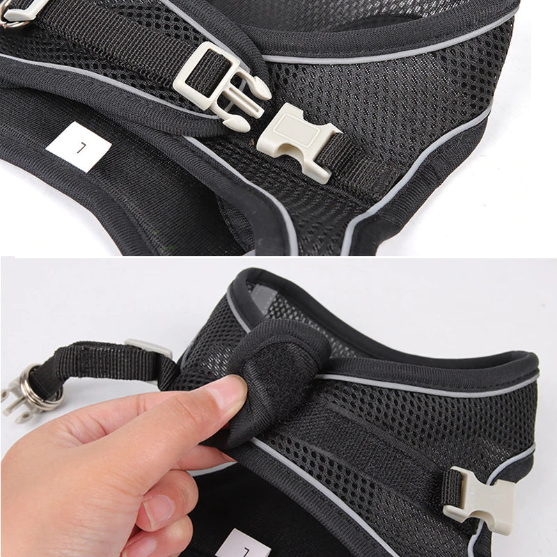 No-Pull Dog Harness & Leash Set