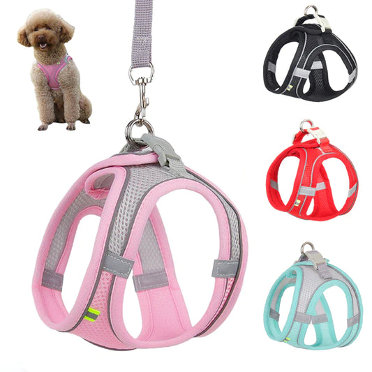No-Pull Dog Harness & Leash Set