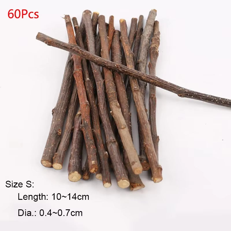 Professional Hamster Rabbit Teeth Grinding Apple Tree Stick Minerals Molar Stone Toys for Chinchilla Hamster Pettoys Accessories